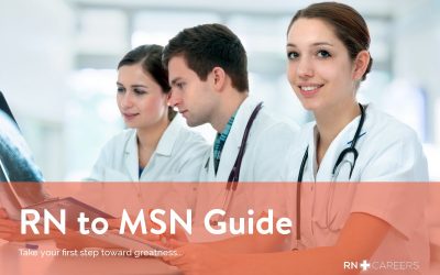 RN to MSN Bridge Guide