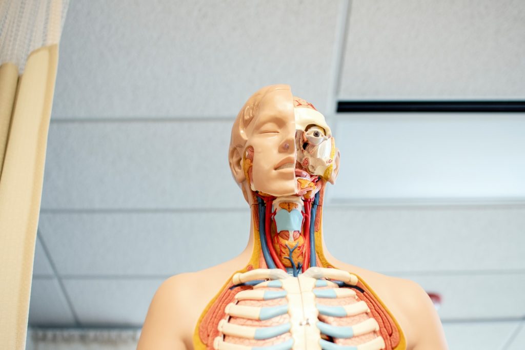 The Nurse’s Guide to Learning Anatomy 6 The Nurse’s Guide to Learning Anatomy