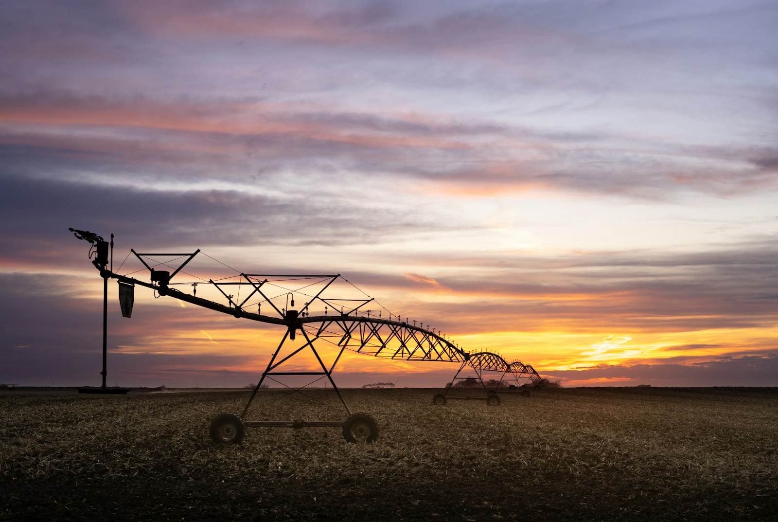 Nebraska Nursing License Requirements & Renewals RN And APRN 2024